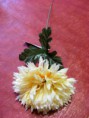 CHRYZANTEMA 55CM KRÉMOVÁ
